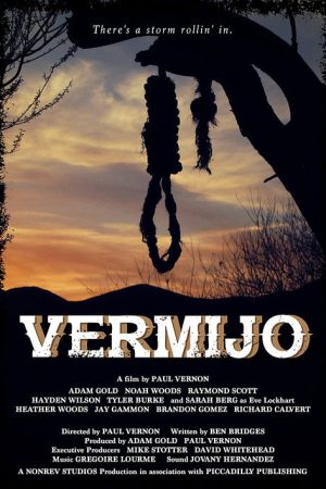 Vermijo (2017) poster