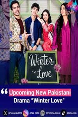 Winter Love (2026) poster