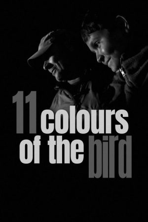 11 Colours of the Bird (2020) poster