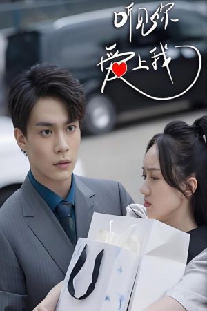 听见你，爱上我 (2025) poster