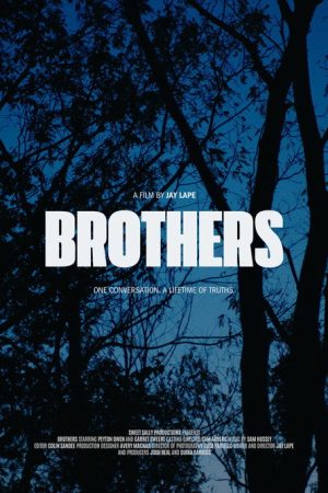 Brothers (2025) poster