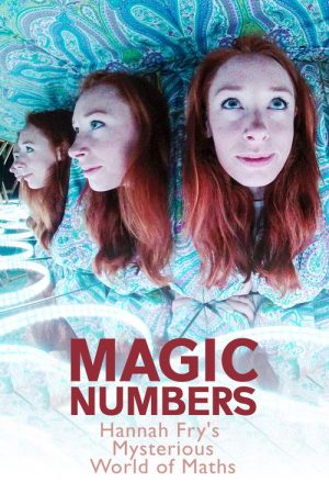 Magic Numbers: Hannah Fry’s Mysterious World of Maths (2018) poster
