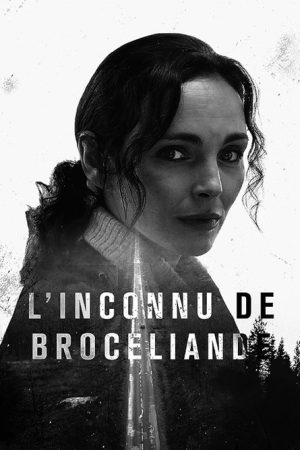 Murder in Brocéliande (2016) poster