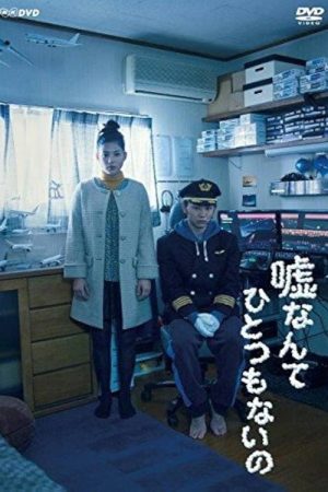There Is No Lie (2017) poster