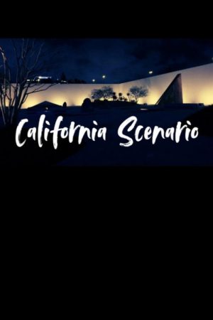 California Scenario (2026) poster