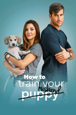How to Train Your Husband (2018) poster