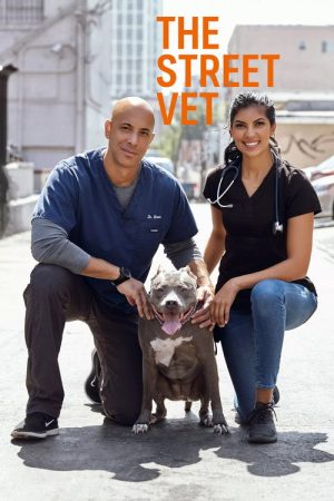 The Street Vet (2019) poster