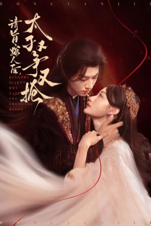 请旨嫁人后，太子又争又抢 (2025) poster