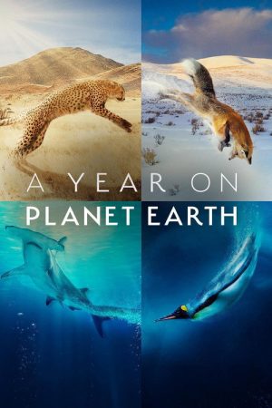 A Year on Planet Earth (2022) poster