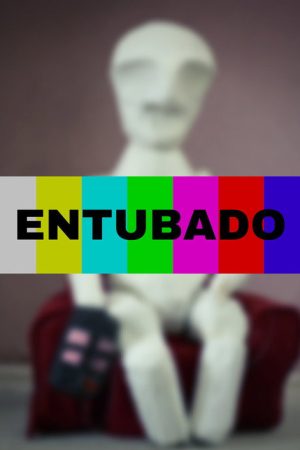 Entubado (2019) poster