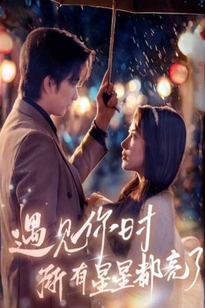 遇见你时所有星星都亮了 (2025) poster