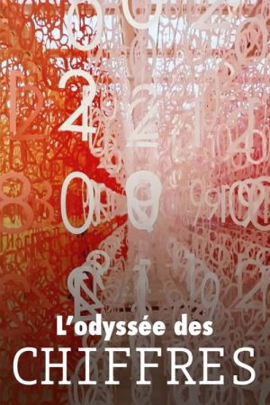 0 to 9 : The Secret History of Numbers (2025) poster