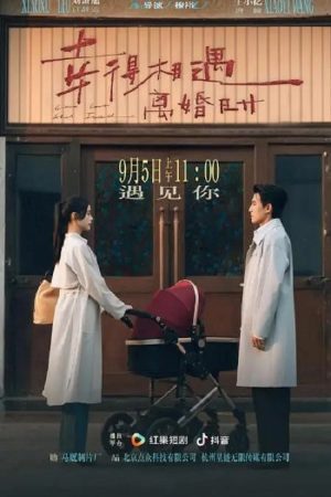 幸得相遇离婚时 (2025) poster