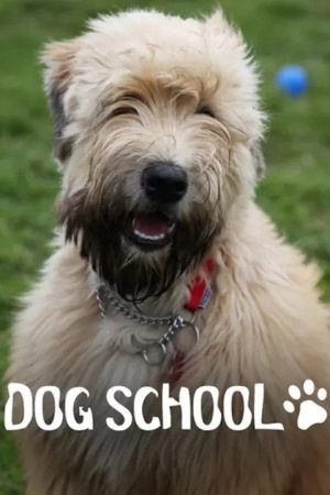 Dog School (2018) poster