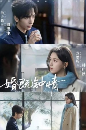 婚既钟情 (2026) poster