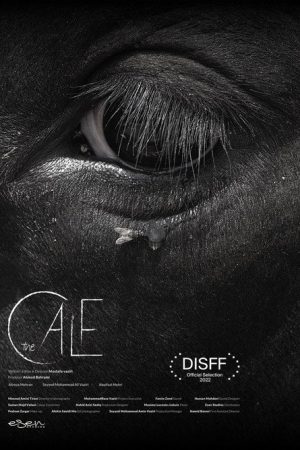 The Calf (2022) poster