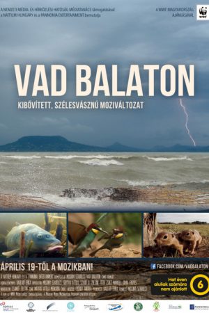 Balaton (2018) poster