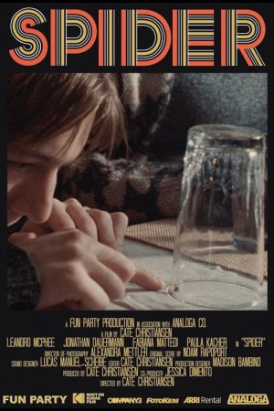 Spider (2025) poster