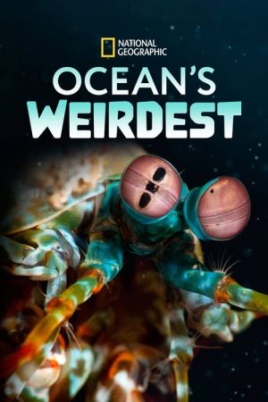 Ocean’s Weirdest (2022) poster