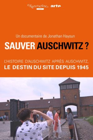 Sauver Auschwitz ? (2017) poster