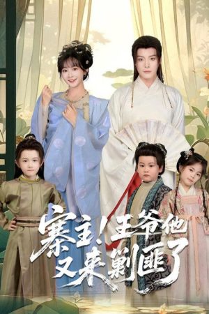 寨主！王爷他又来剿匪了 (2025) poster