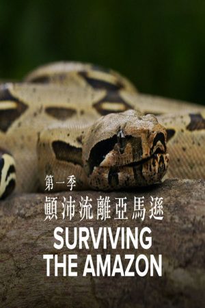 Surviving the Amazon (2018) poster