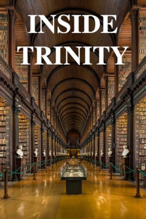 Inside Trinity (2016) poster