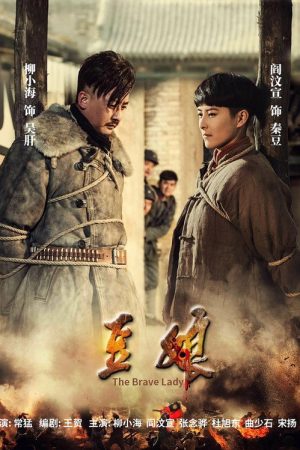 The Brave Lady (2016) poster