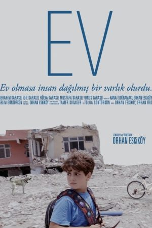 House (2025) poster