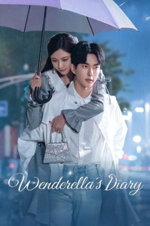 Wenderella’s Diary (2023) poster