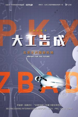 大工告成：北京大兴国际机场 (2020) poster