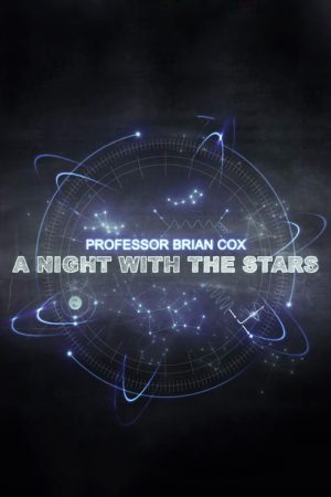A Night with the Stars (2011) poster