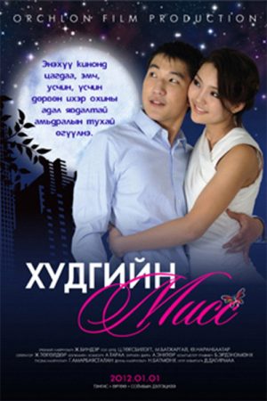 Miss of the Well (2012) poster