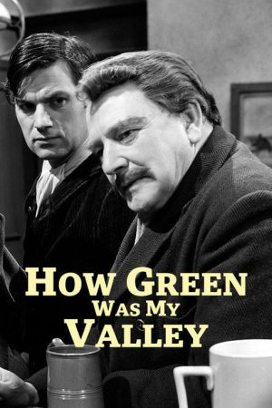 How Green Was My Valley (1975) poster