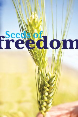 Seeds of Freedom (2012) poster