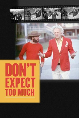 Don’t Expect Too Much (2011) poster